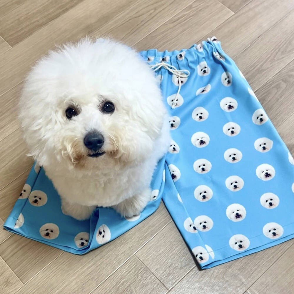 ペットの写真でオリジナルアイテムを製作 | PET DOT SHOP